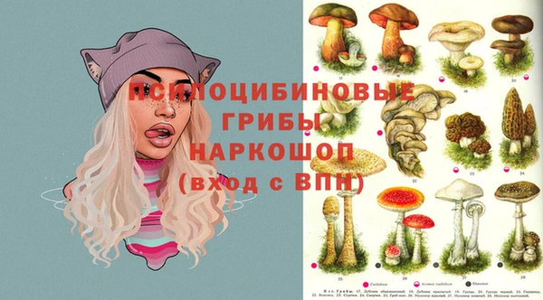 сатива Вязьма